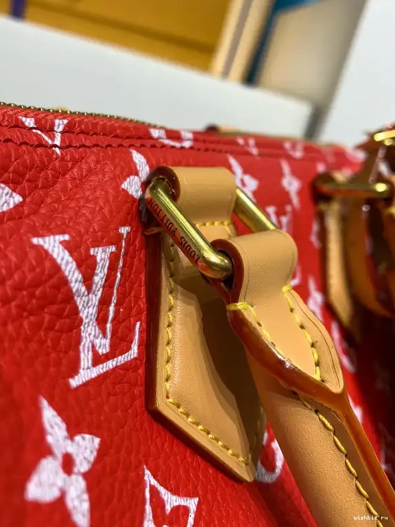 WIS 25 VUITTON  P9 Speedy Bandoulière LOUIS 0515